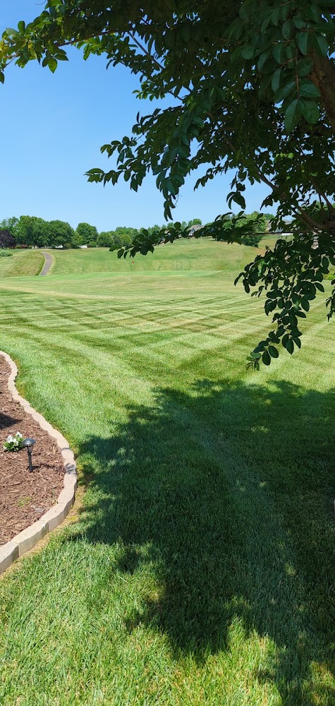 Clean Cut Lawn Care