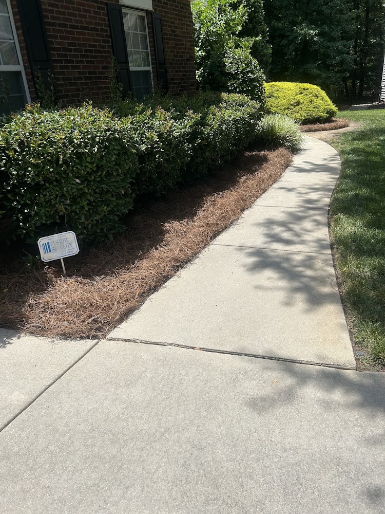 Curran and Sons Landscaping
